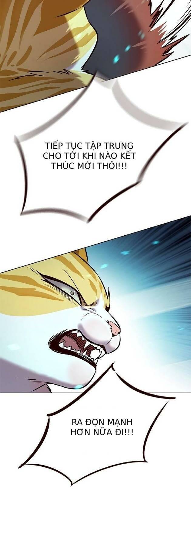Hoá Thân Thành Mèo Chapter 241.1 - 19