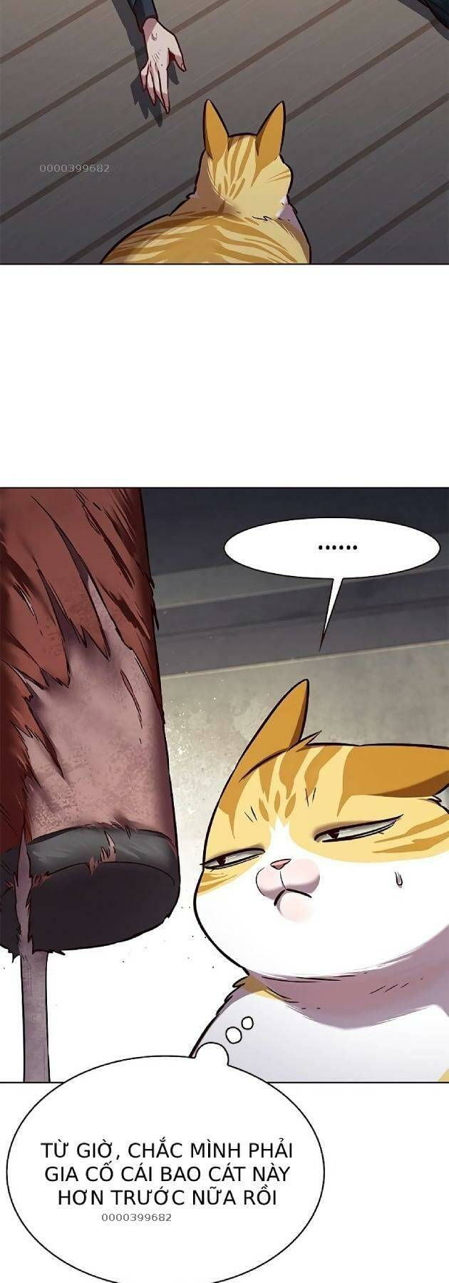 Hoá Thân Thành Mèo Chapter 241.1 - 28