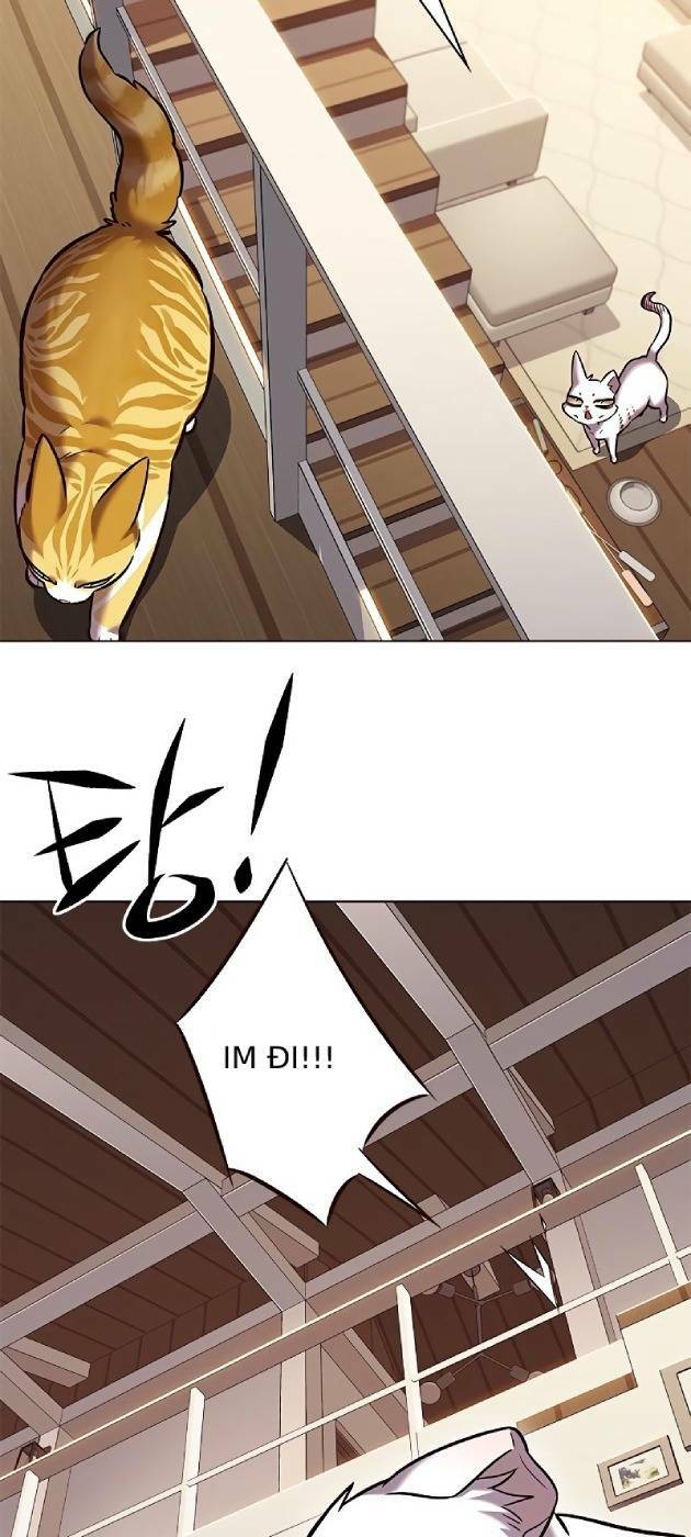 Hoá Thân Thành Mèo Chapter 241.1 - 61