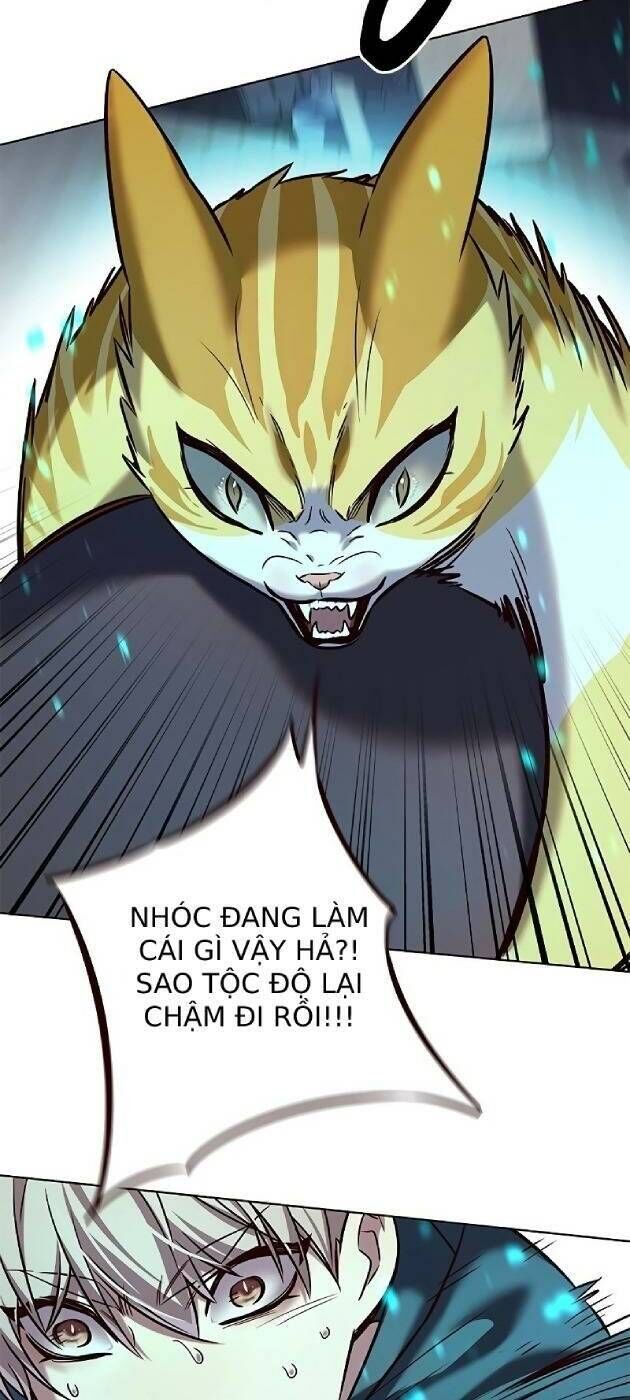 Hoá Thân Thành Mèo Chapter 241 - 12