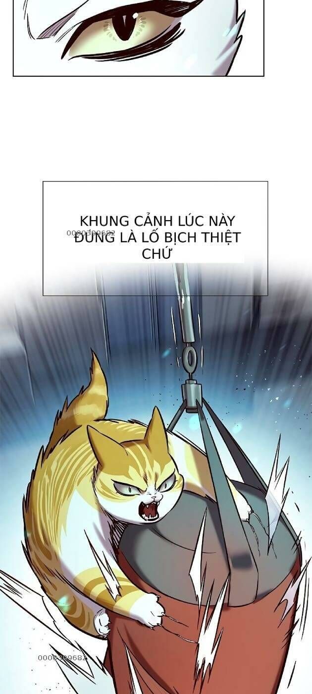 Hoá Thân Thành Mèo Chapter 241 - 15