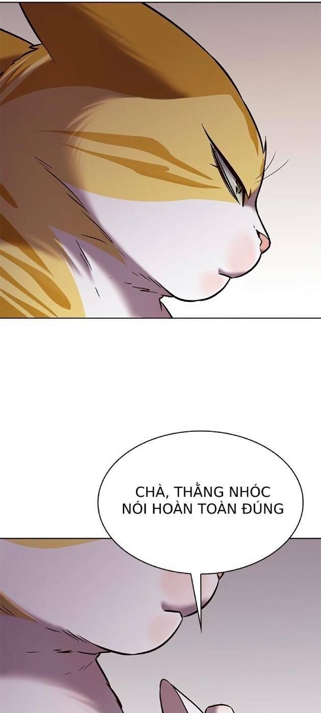 Hoá Thân Thành Mèo Chapter 241 - 57