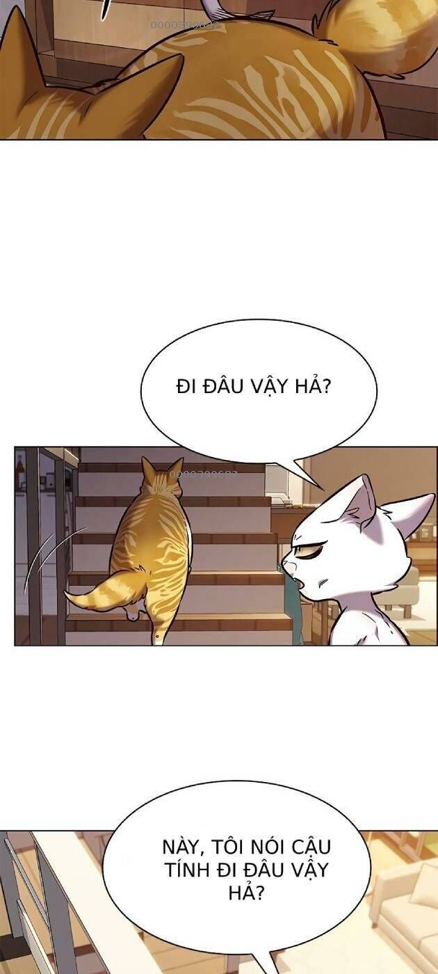 Hoá Thân Thành Mèo Chapter 241 - 59