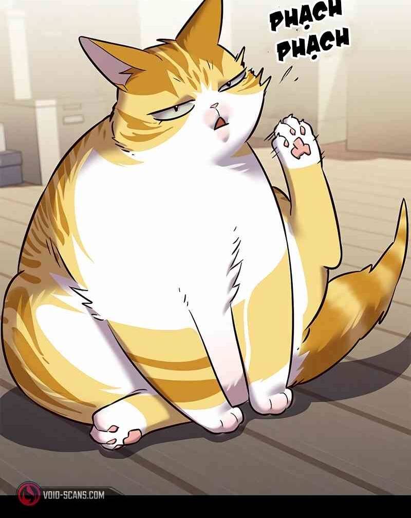 Hoá Thân Thành Mèo Chapter 244.1 - 15