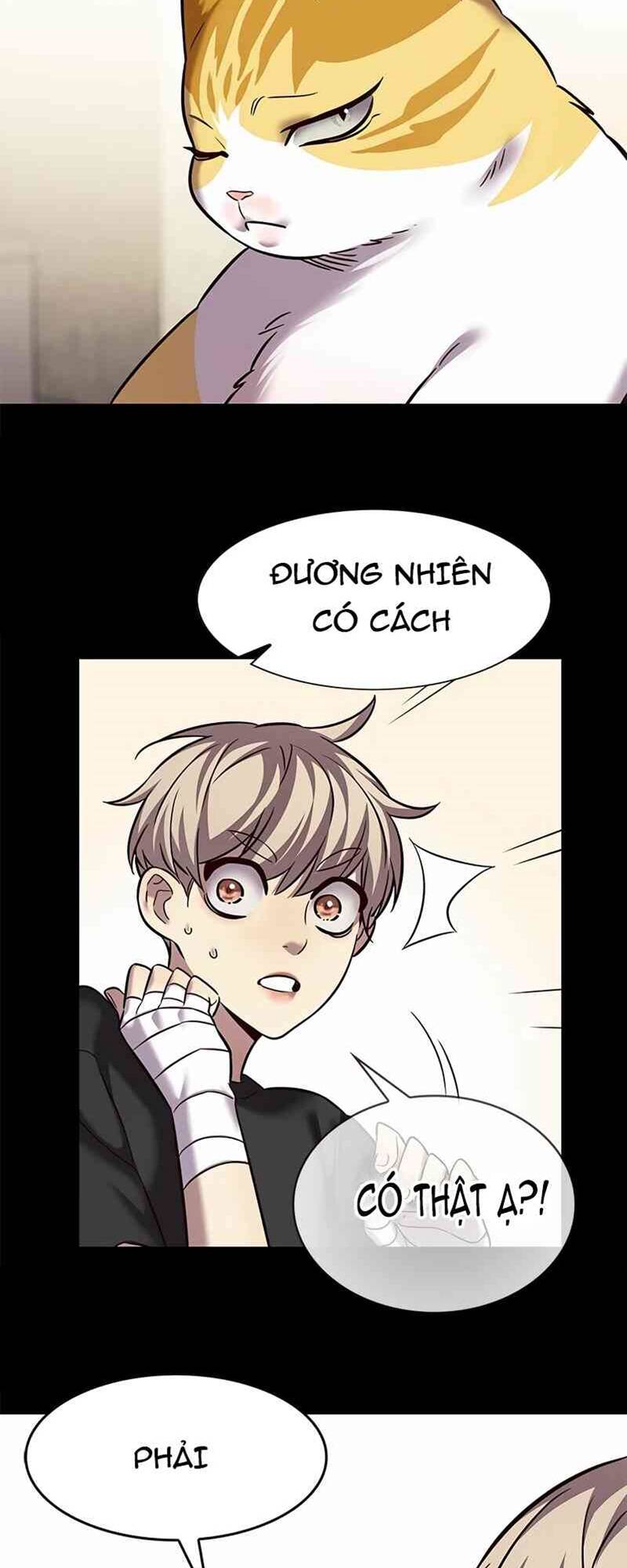 Hoá Thân Thành Mèo Chapter 244.1 - 18