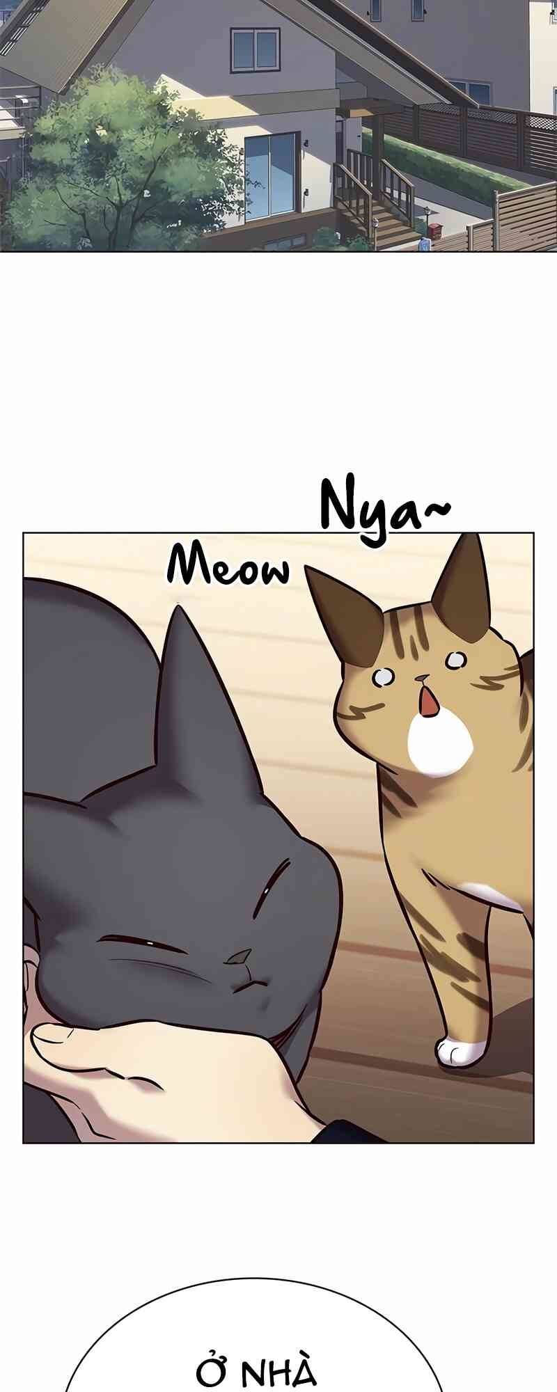 Hoá Thân Thành Mèo Chapter 244.1 - 42