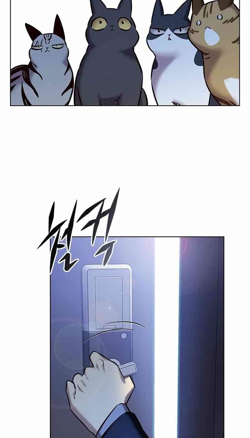 Hoá Thân Thành Mèo Chapter 244.1 - 44