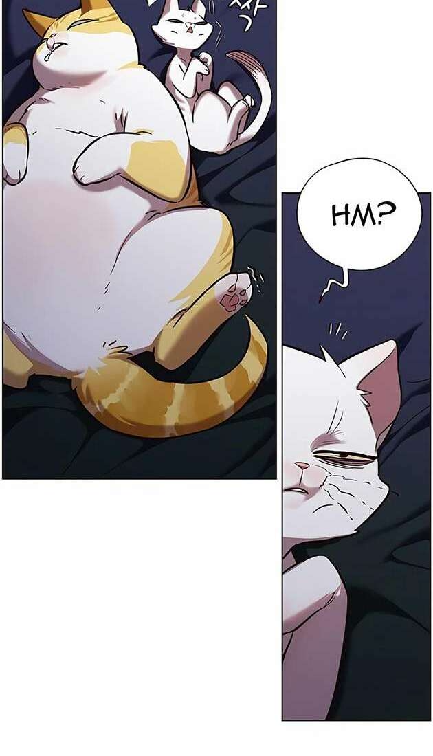 Hoá Thân Thành Mèo Chapter 246.1 - 60
