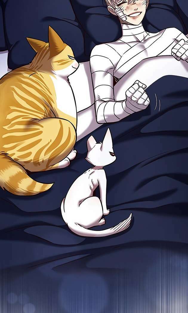 Hoá Thân Thành Mèo Chapter 253.1 - 72