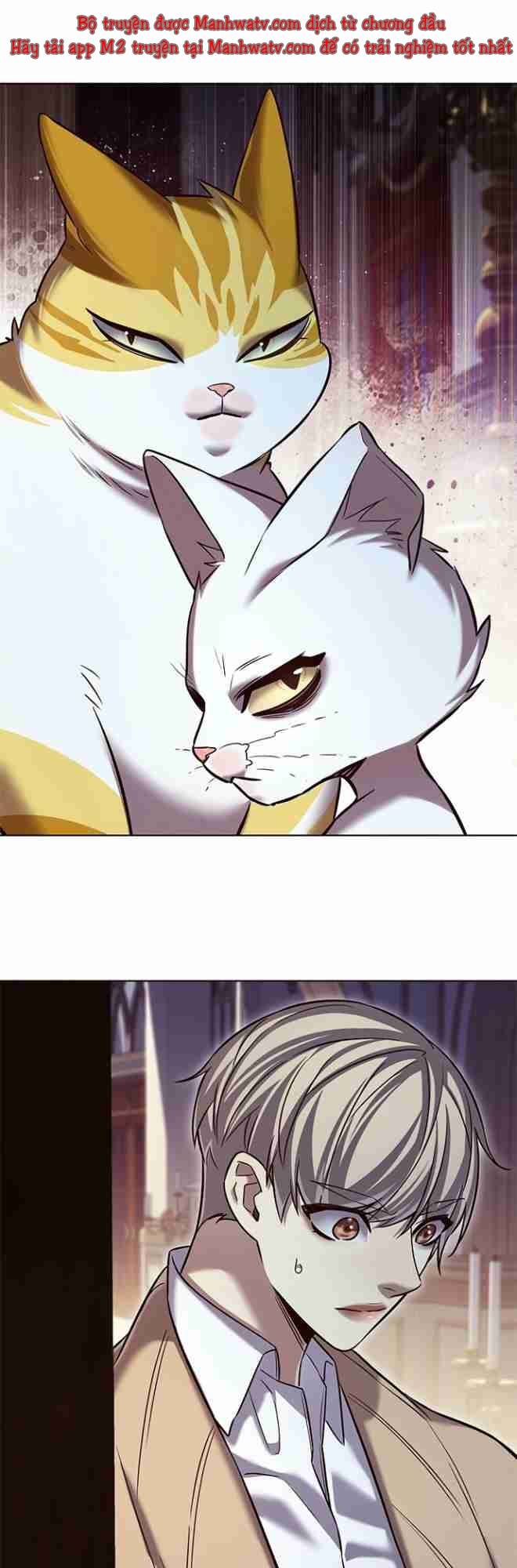 Hoá Thân Thành Mèo Chapter 256.1 - 32