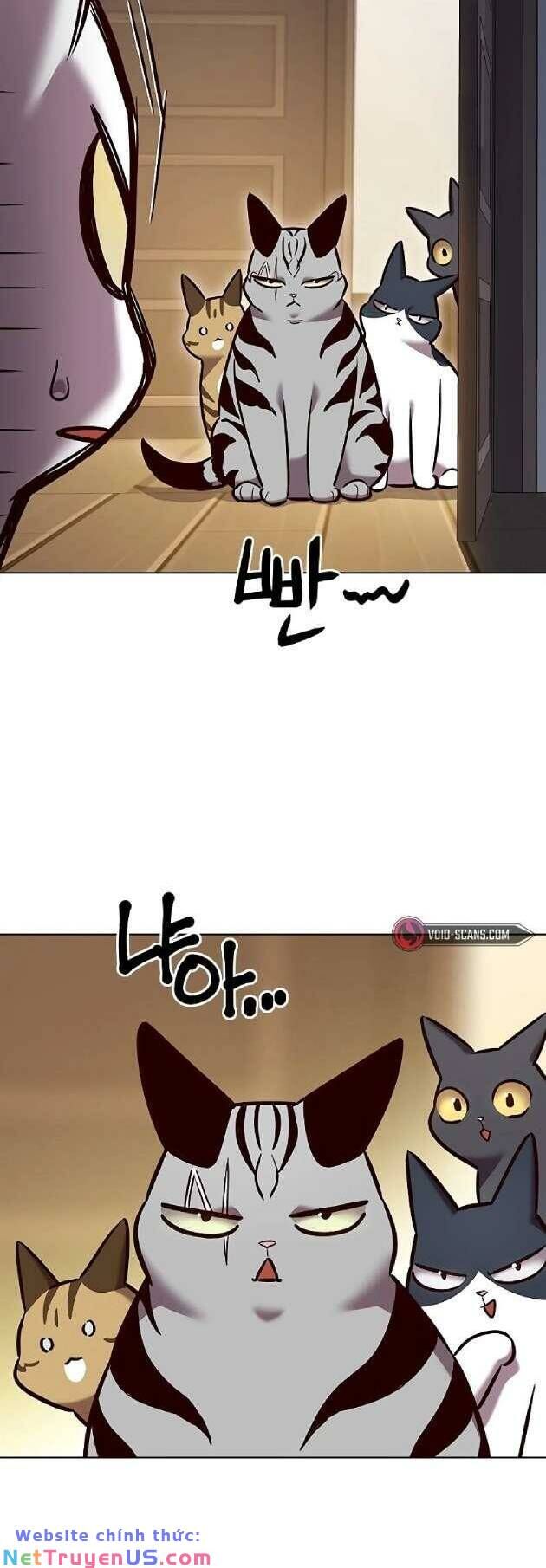 Hoá Thân Thành Mèo Chapter 262 - 59