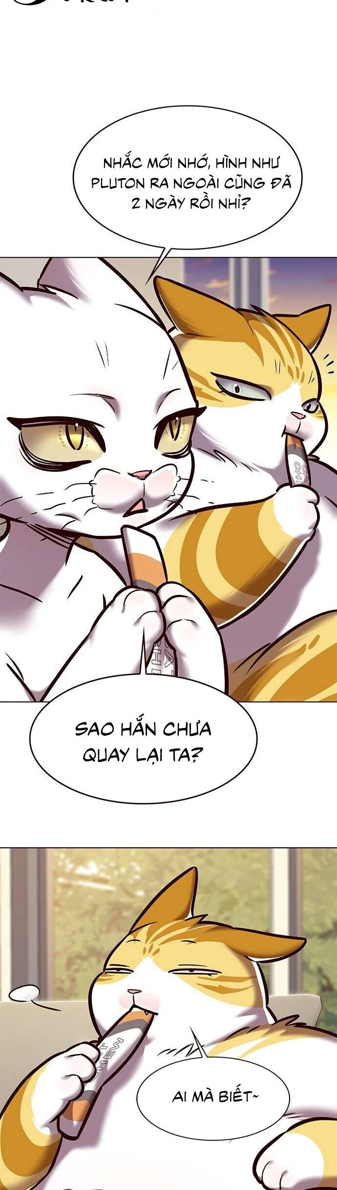 Hoá Thân Thành Mèo Chapter 279 - 34
