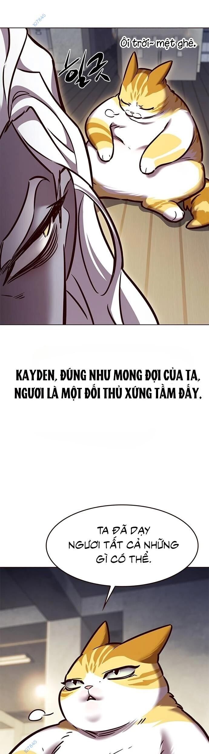 Hoá Thân Thành Mèo Chapter 279 - 6