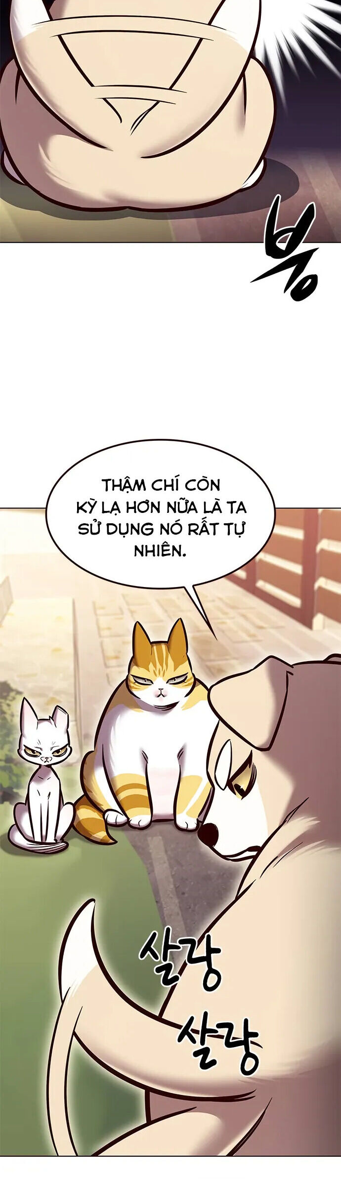 Hoá Thân Thành Mèo Chapter 280 - 20