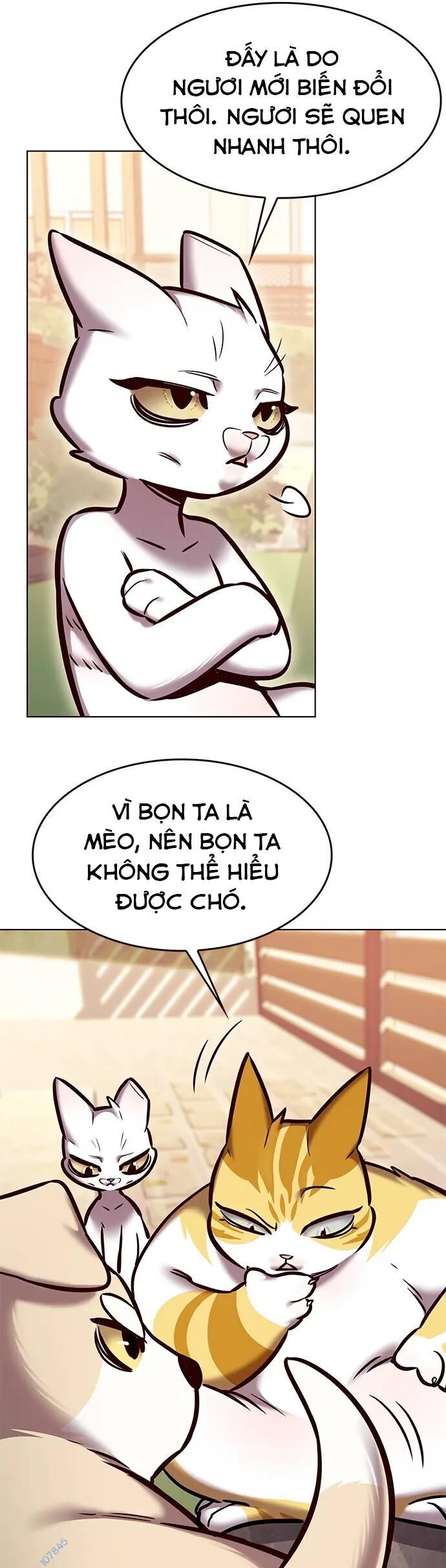 Hoá Thân Thành Mèo Chapter 280 - 21
