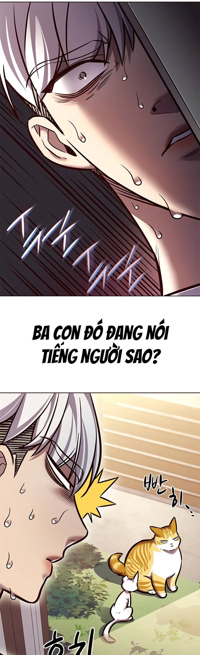 Hoá Thân Thành Mèo Chapter 280 - 25