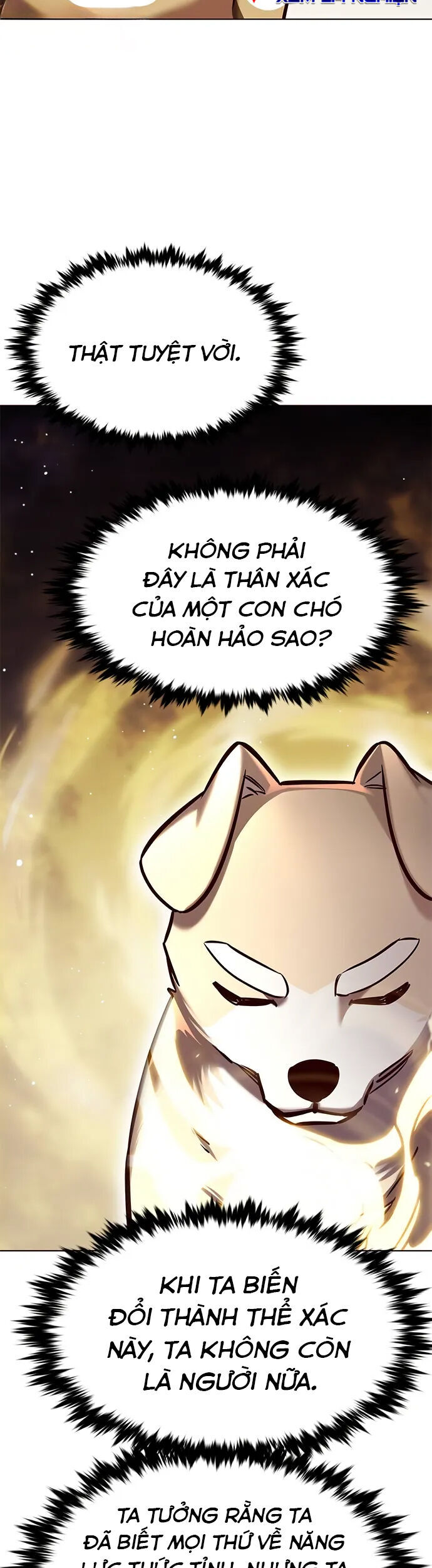 Hoá Thân Thành Mèo Chapter 280 - 4