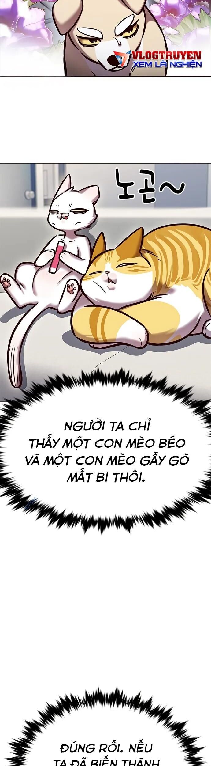 Hoá Thân Thành Mèo Chapter 280 - 8