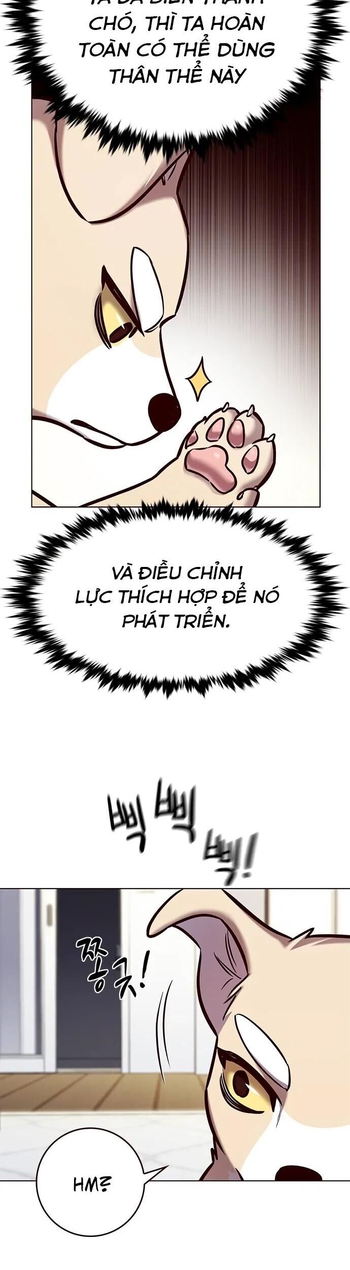 Hoá Thân Thành Mèo Chapter 280 - 9