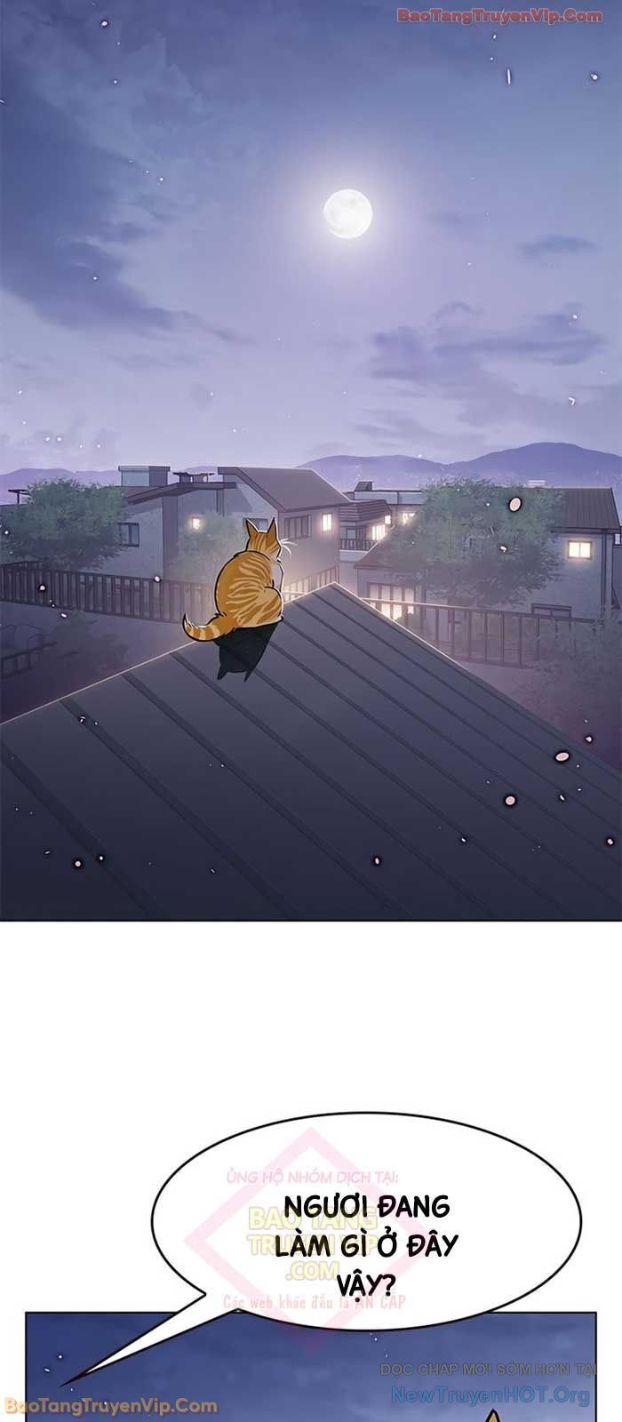 Hoá Thân Thành Mèo Chapter 364 - 35