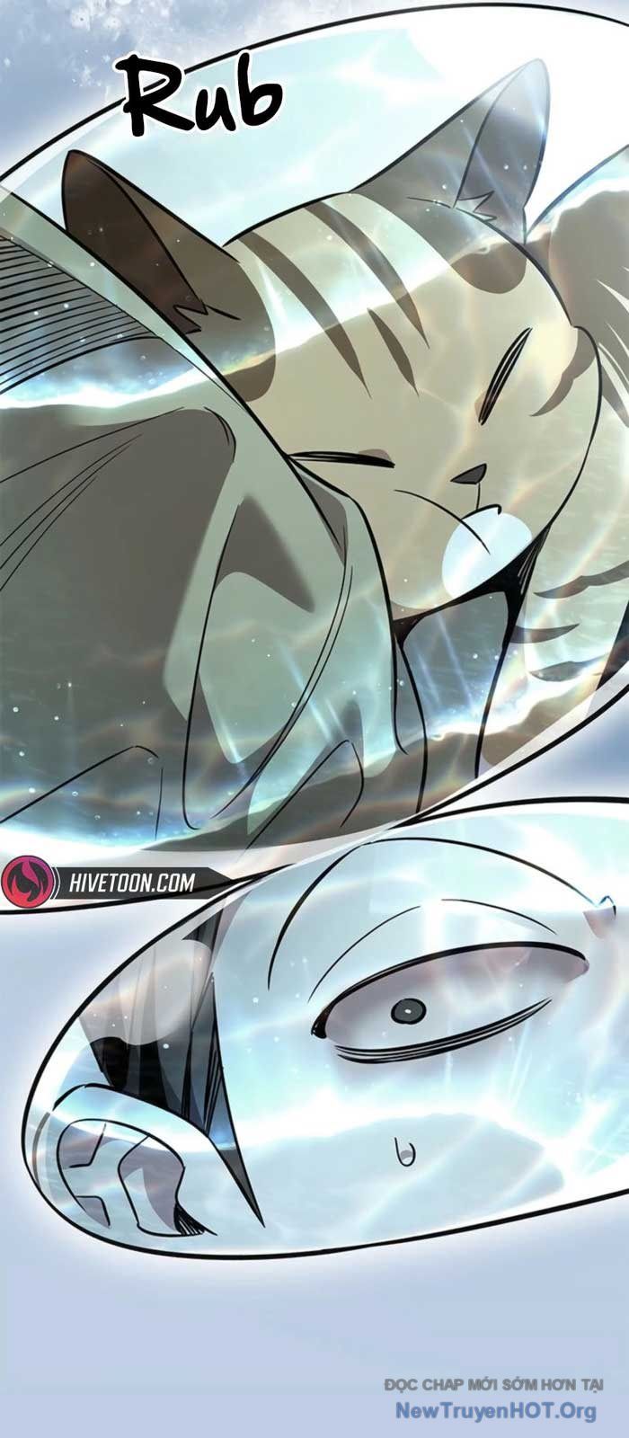 Hoá Thân Thành Mèo Chapter 368 - 70