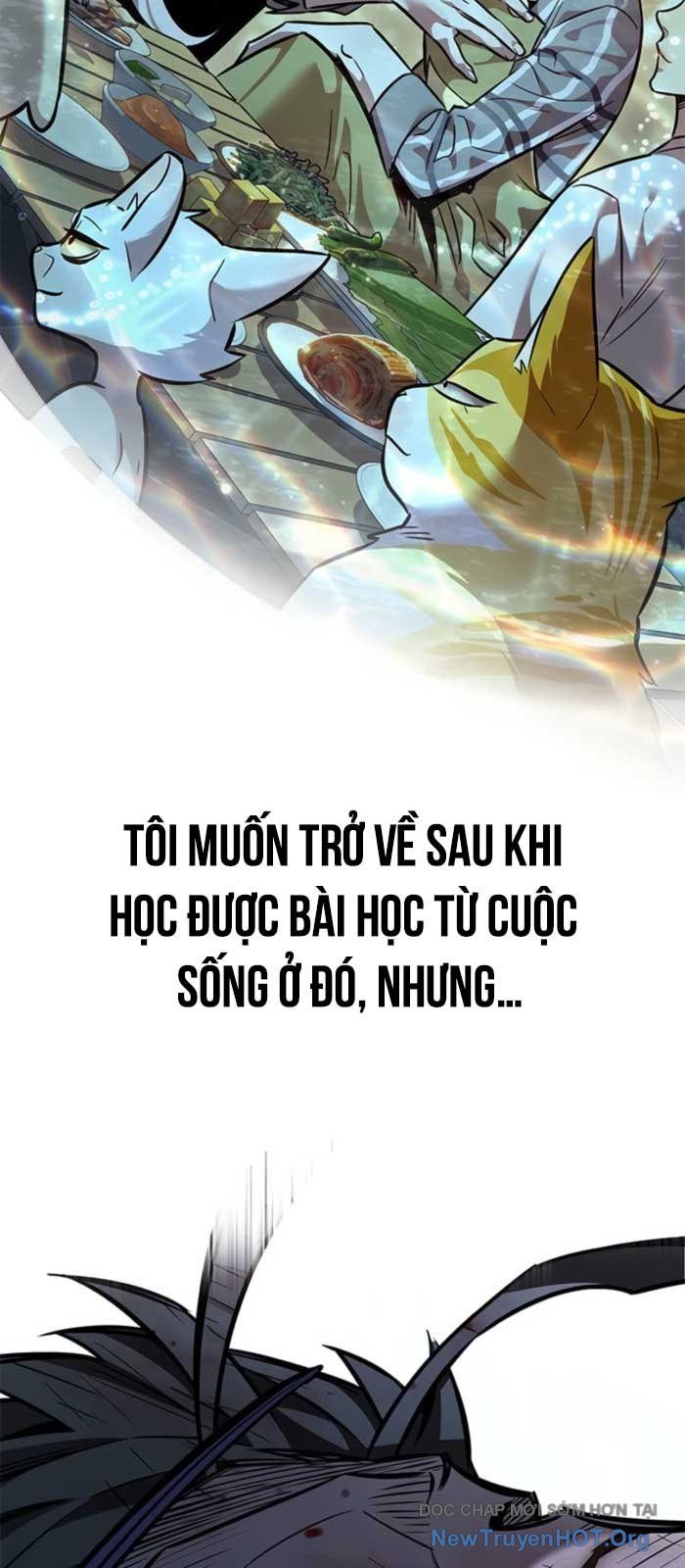 Hoá Thân Thành Mèo Chapter 368 - 87