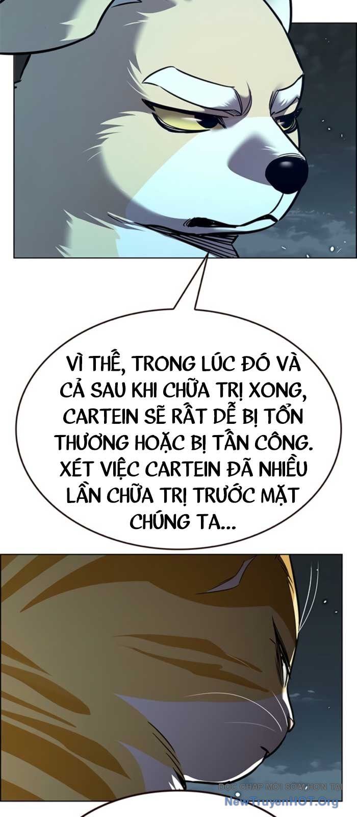 Hoá Thân Thành Mèo Chapter 369 - 101