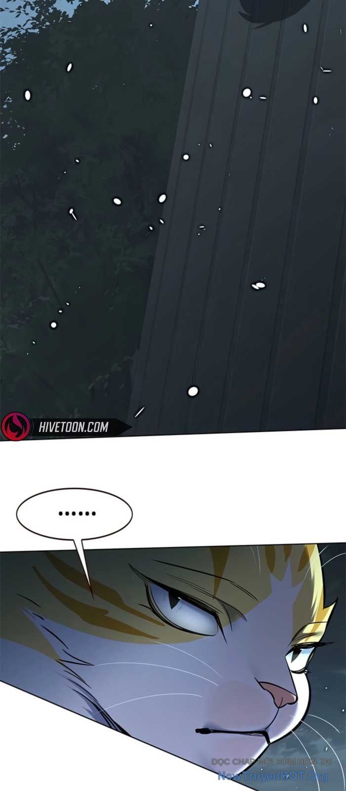 Hoá Thân Thành Mèo Chapter 369 - 104