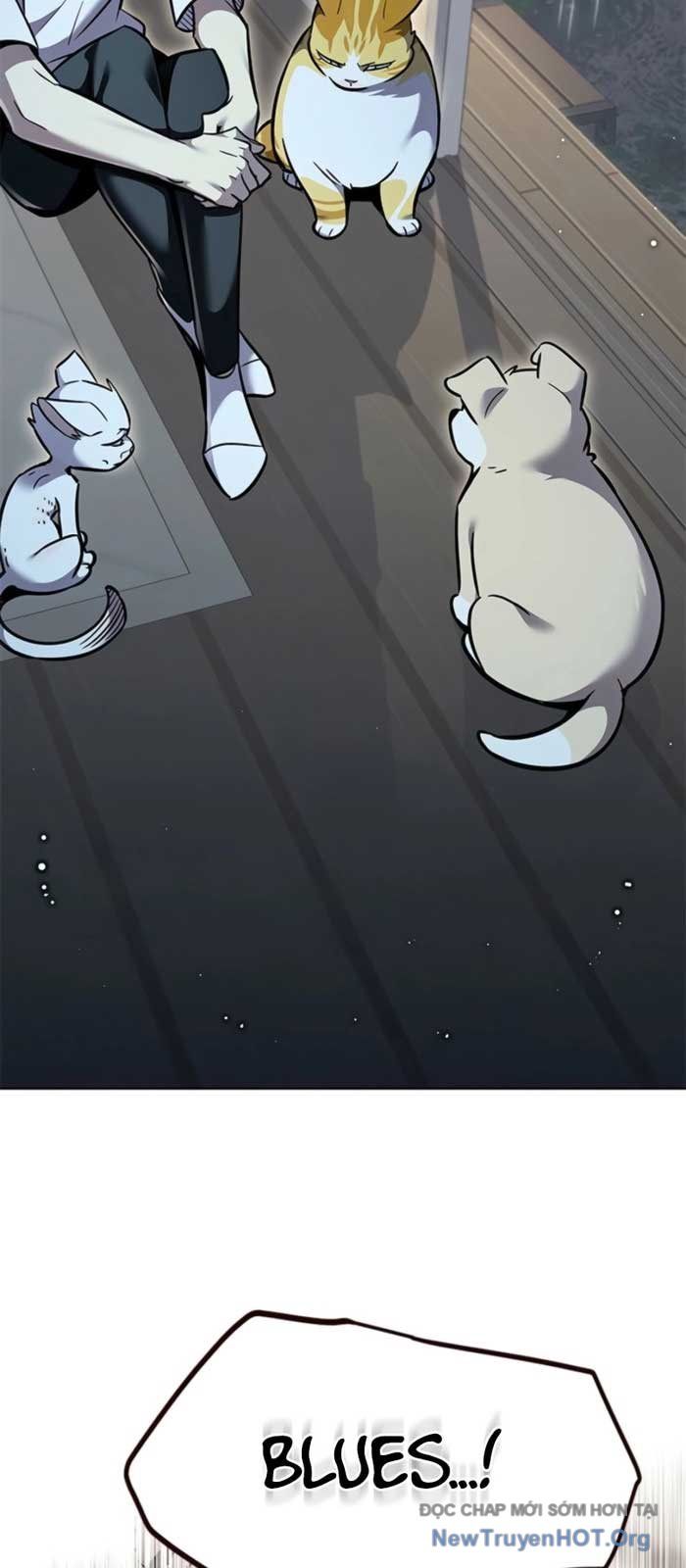 Hoá Thân Thành Mèo Chapter 369 - 68