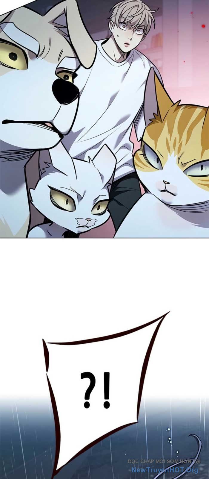 Hoá Thân Thành Mèo Chapter 369 - 71