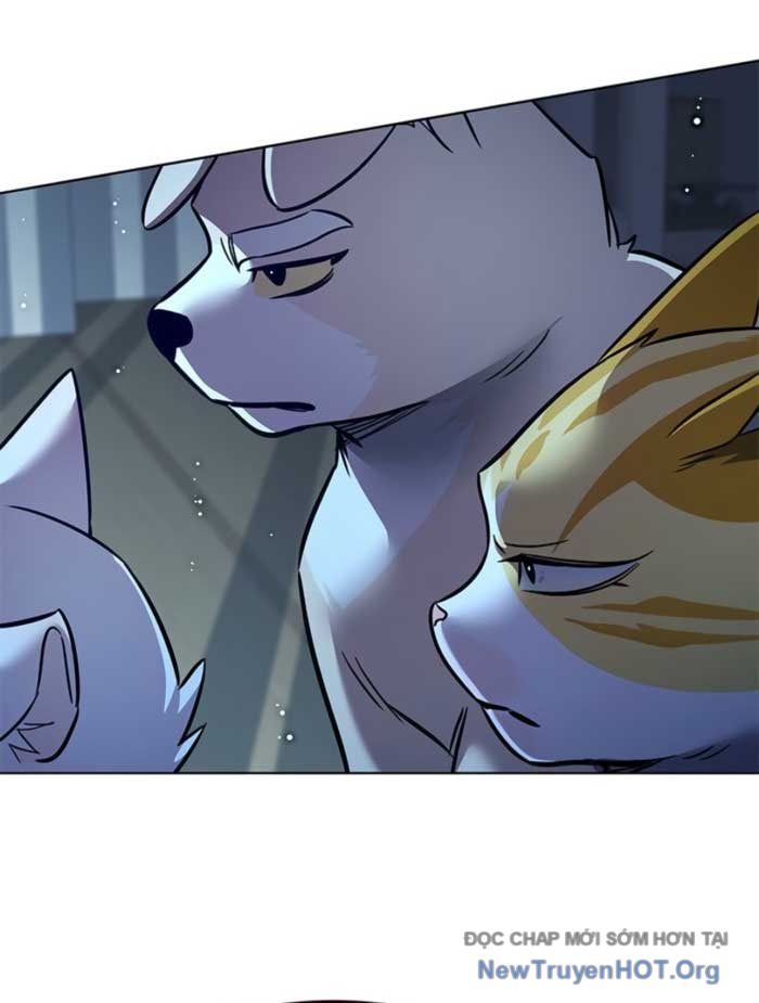 Hoá Thân Thành Mèo Chapter 369 - 80