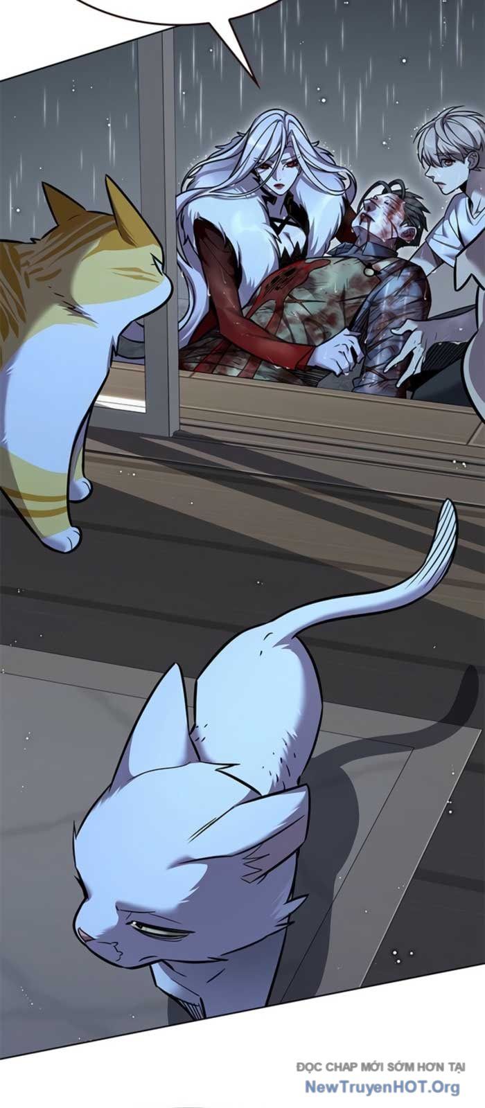 Hoá Thân Thành Mèo Chapter 369 - 88