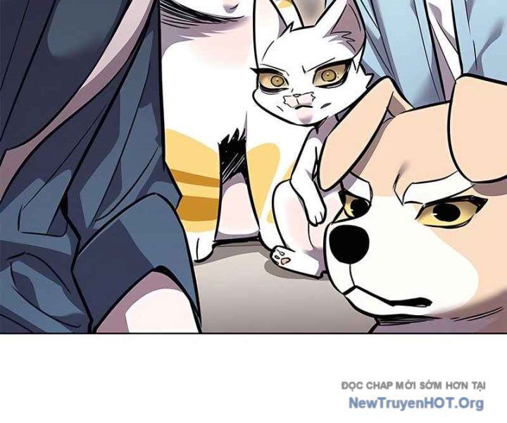 Hoá Thân Thành Mèo Chapter 370 - 103