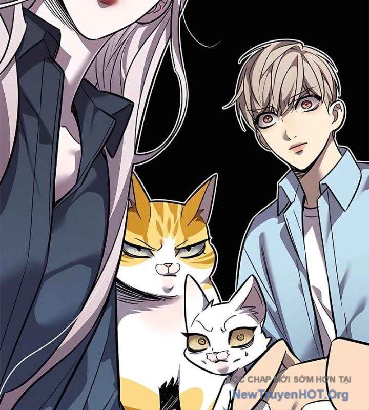 Hoá Thân Thành Mèo Chapter 370 - 105