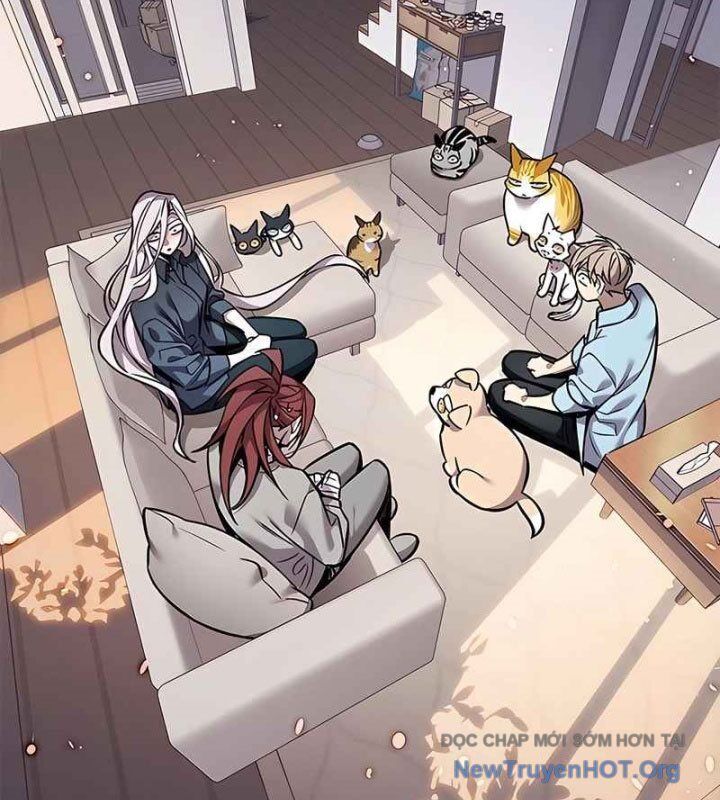 Hoá Thân Thành Mèo Chapter 370 - 107