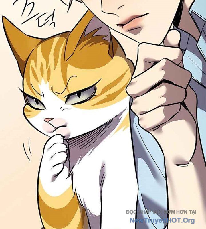 Hoá Thân Thành Mèo Chapter 370 - 115