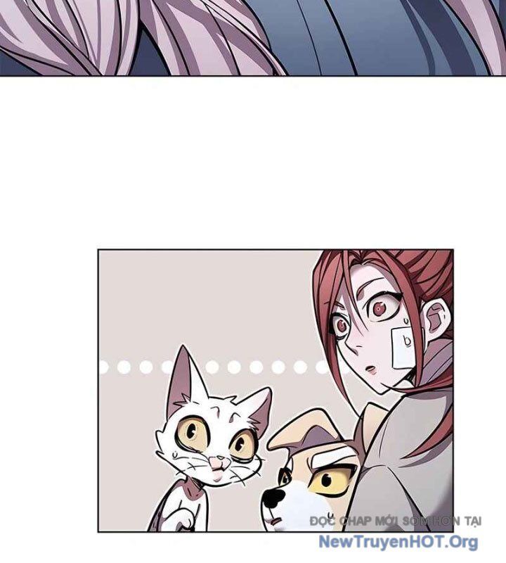 Hoá Thân Thành Mèo Chapter 370 - 119