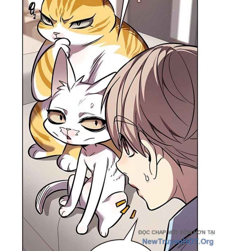 Hoá Thân Thành Mèo Chapter 370 - 121