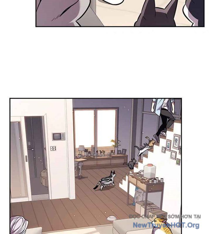 Hoá Thân Thành Mèo Chapter 370 - 124