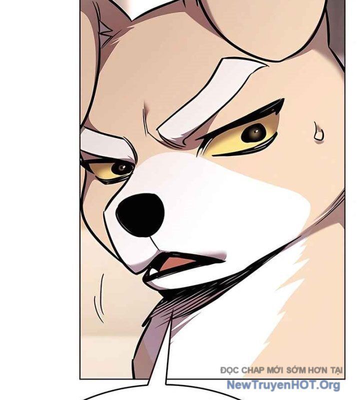 Hoá Thân Thành Mèo Chapter 370 - 127