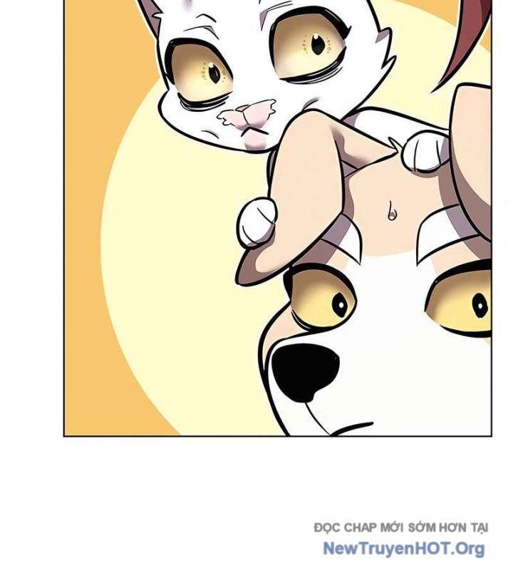 Hoá Thân Thành Mèo Chapter 370 - 133