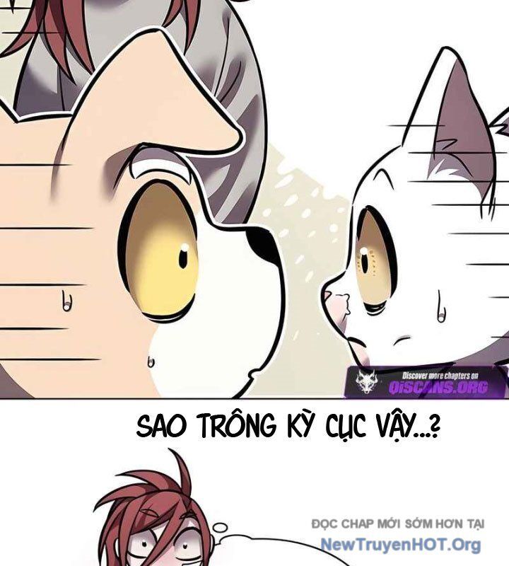 Hoá Thân Thành Mèo Chapter 370 - 139