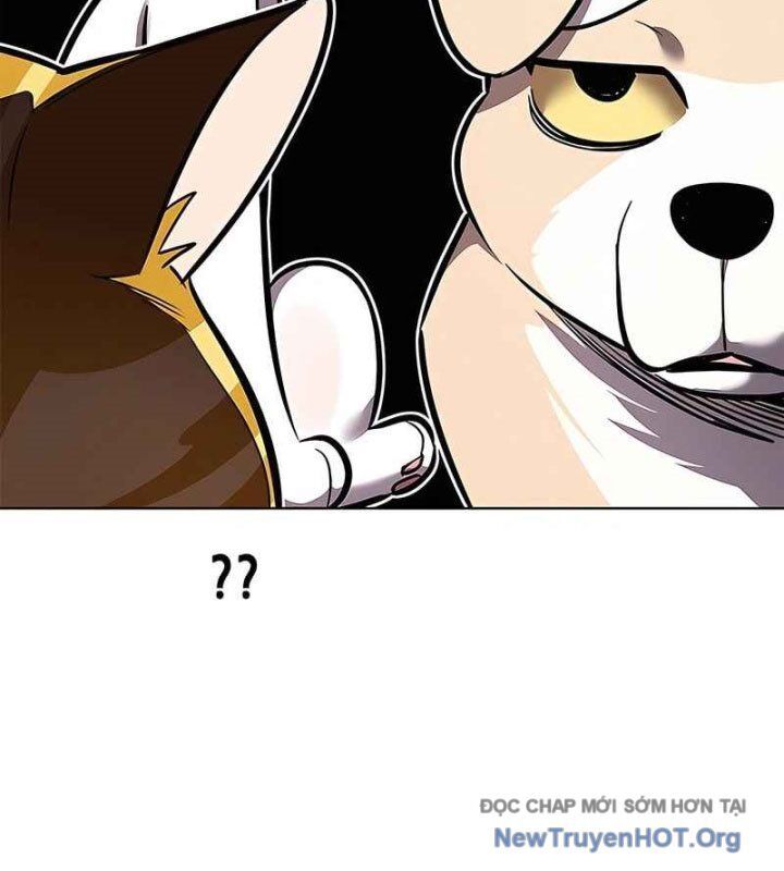 Hoá Thân Thành Mèo Chapter 370 - 144