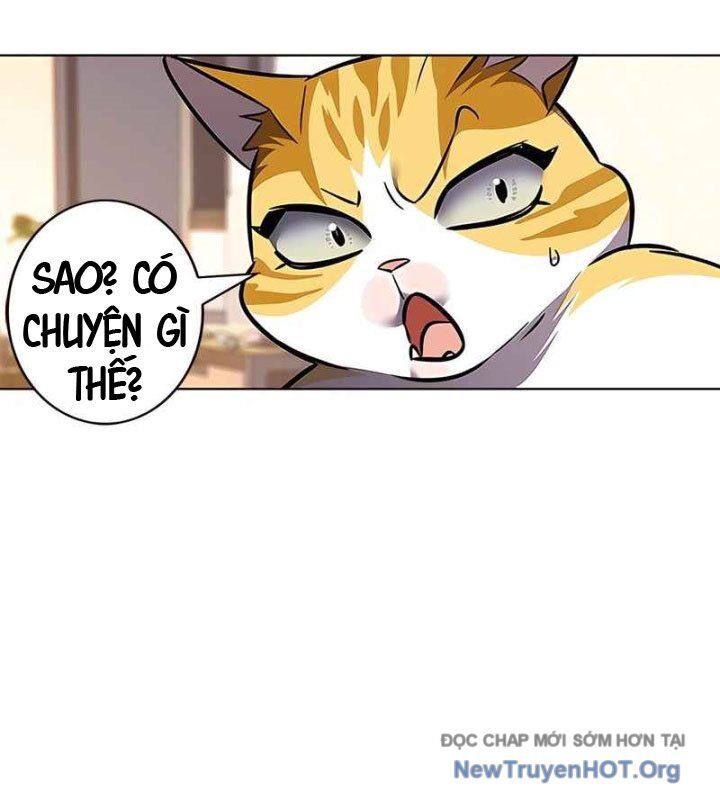 Hoá Thân Thành Mèo Chapter 370 - 145