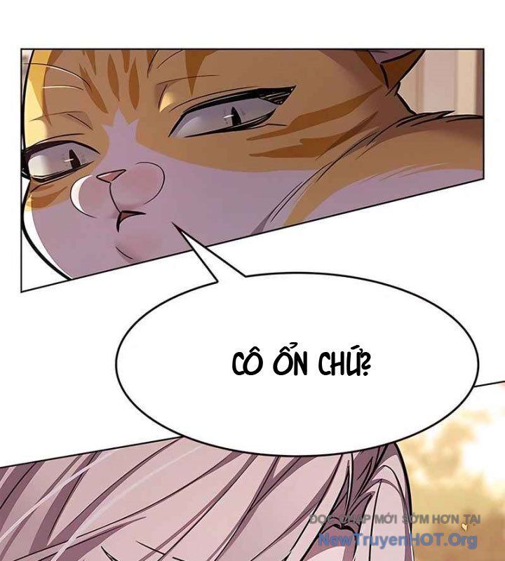 Hoá Thân Thành Mèo Chapter 370 - 155