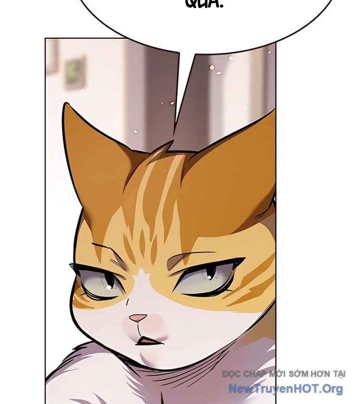 Hoá Thân Thành Mèo Chapter 370 - 159