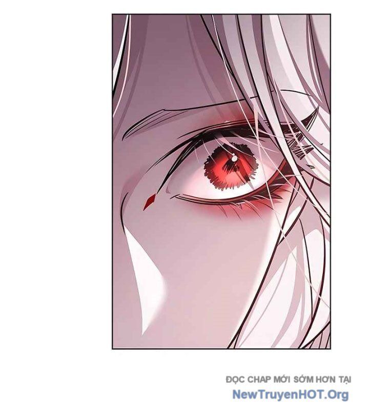 Hoá Thân Thành Mèo Chapter 370 - 161