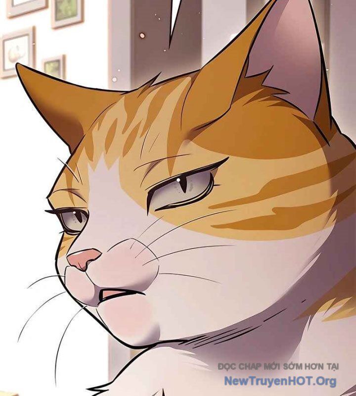Hoá Thân Thành Mèo Chapter 370 - 163
