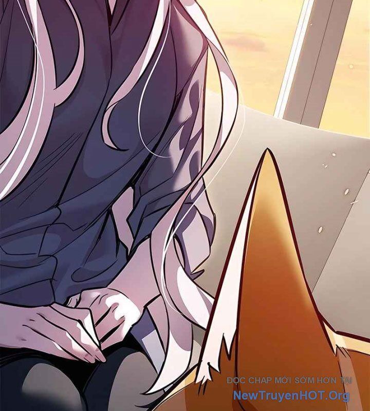 Hoá Thân Thành Mèo Chapter 370 - 166