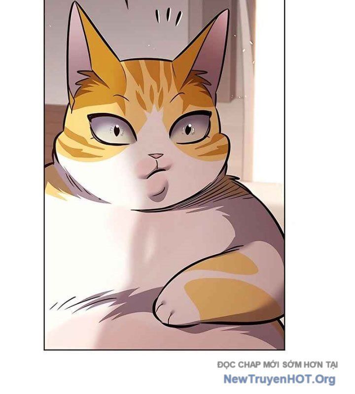 Hoá Thân Thành Mèo Chapter 370 - 168